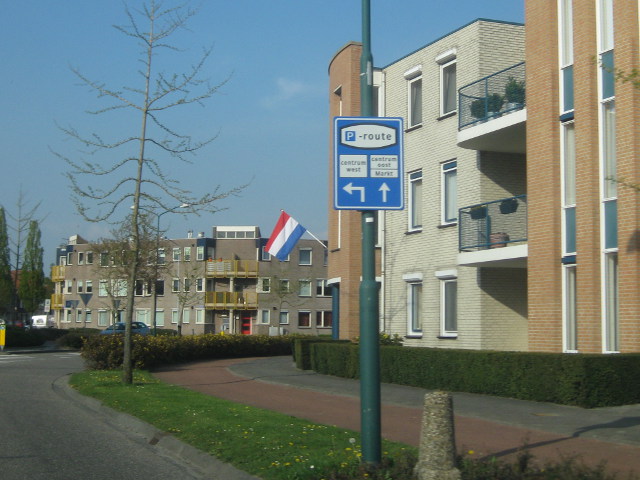 IMG_7027pzevenbergen