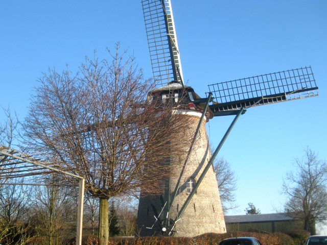 IMG_7647elst_z
