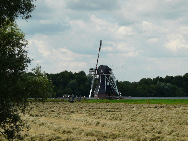 P1070921haren_z