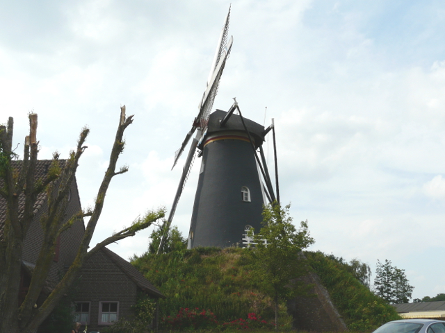 P1160978heeze_z