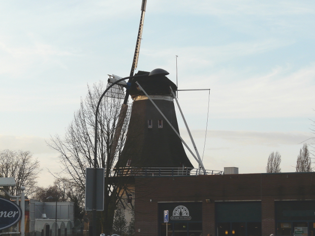 P1210119ermelo_z