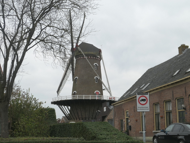 P1320814megen_z