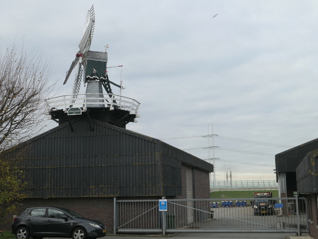 P1330008hoogmade_z