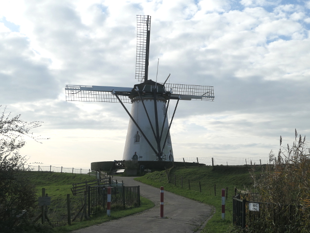 P1330085nieuwenstjoosland_z