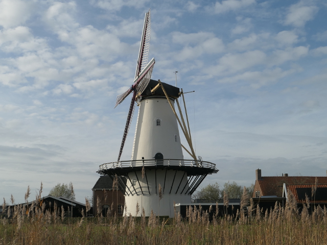 P1330089koudekerke_z