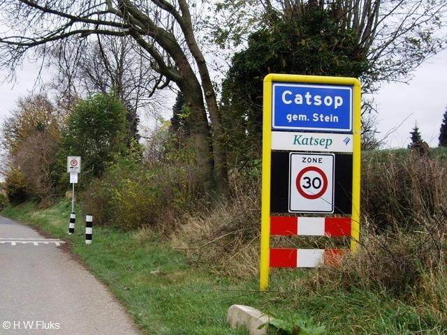 catsopIMGP0432