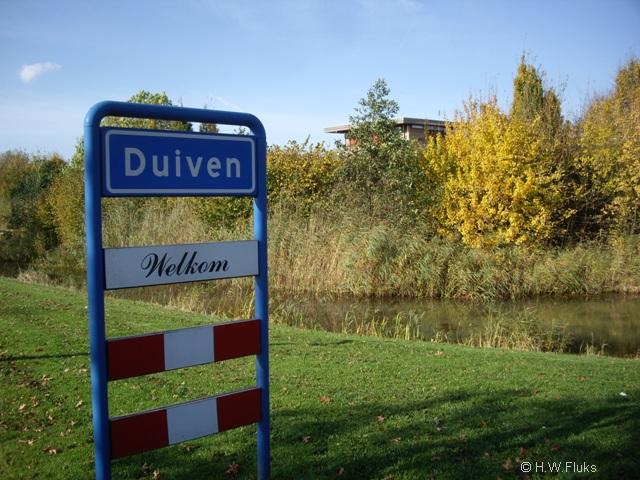 duivenIMGP0084