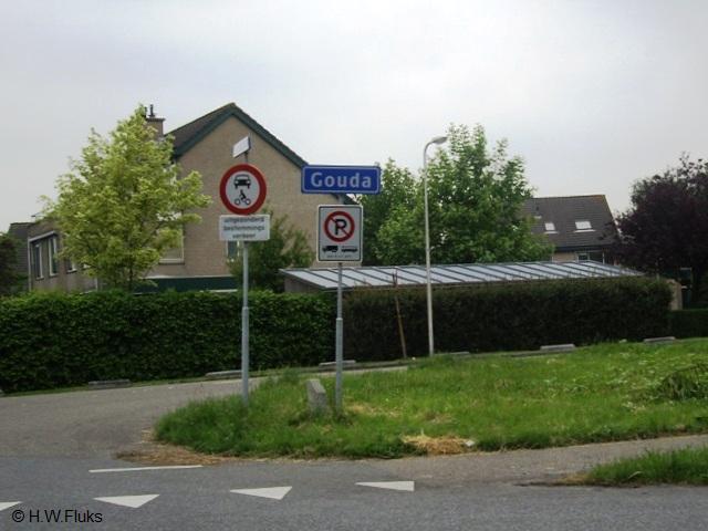 goudaIMGP5660