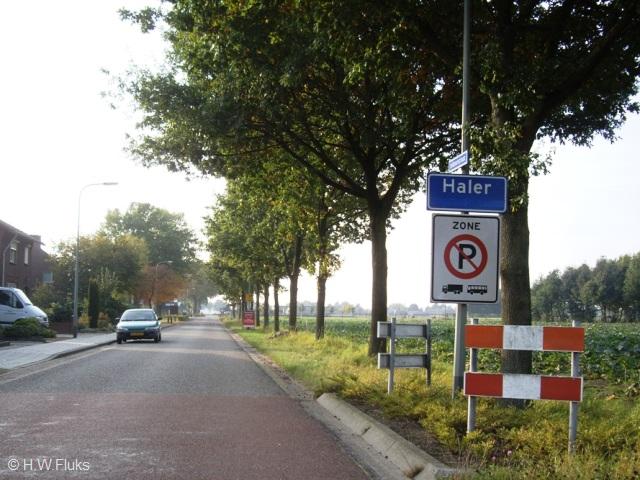 halerIMGP9901