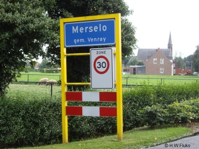 merseloIMGP8770