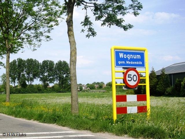 wognumIMGP5017