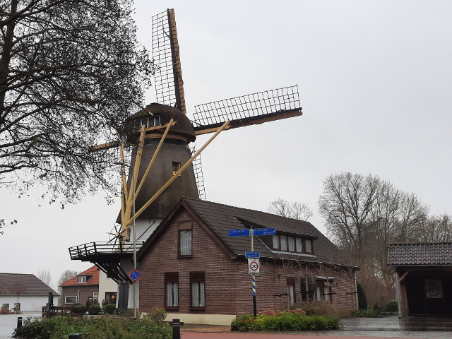20241218_141921maasdam_z