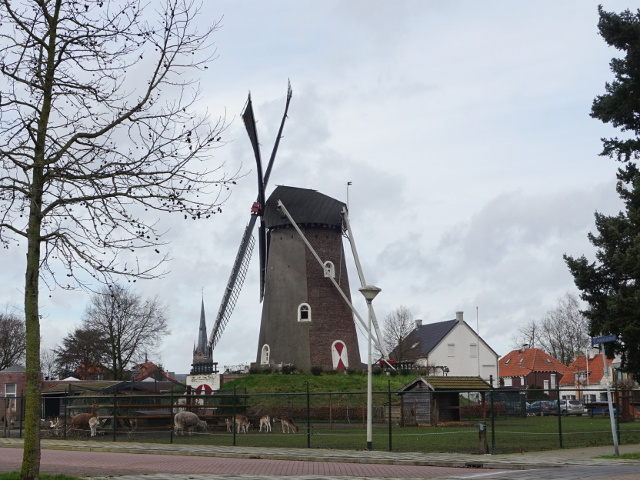 DSC07729liessel_z