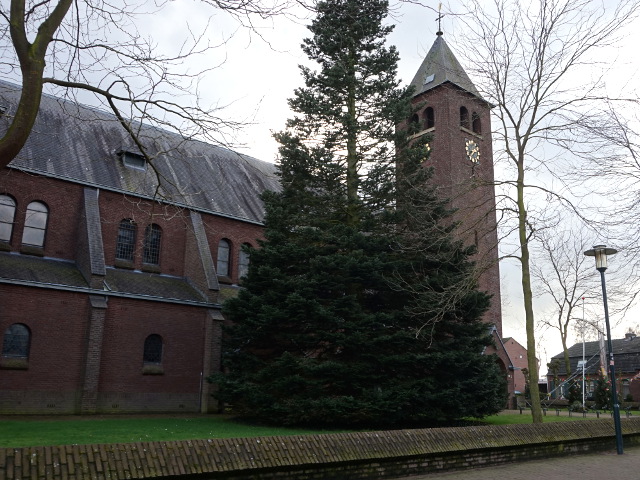 DSC07744hegelsom_z