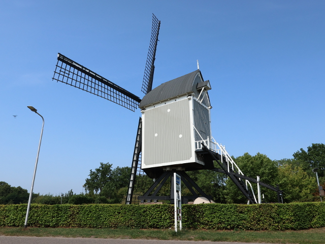 IMG_3496zundert_z