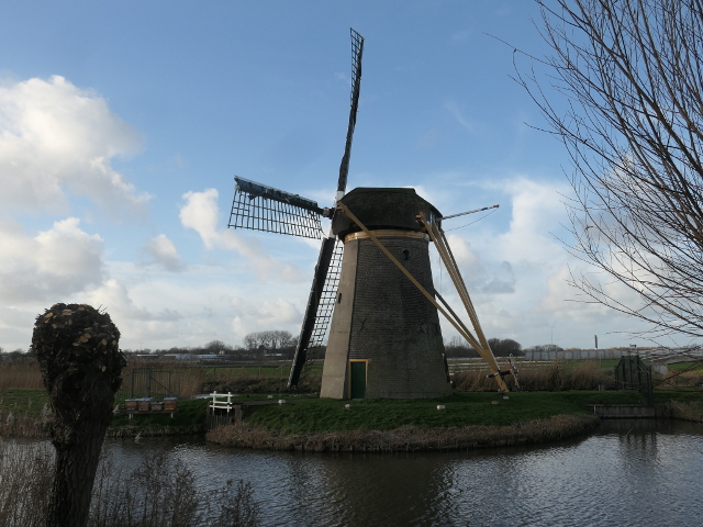 P1330373leiden_z