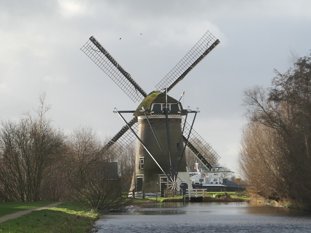 P1330389gouda_z