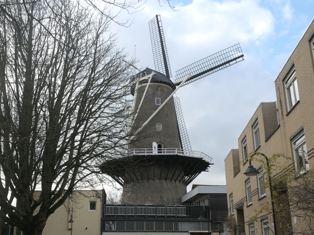 P1330390gouda_z