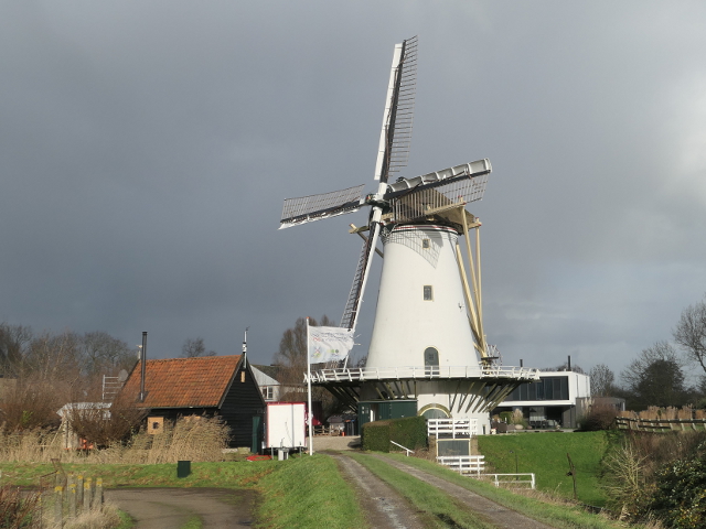 P1330396gouda_z
