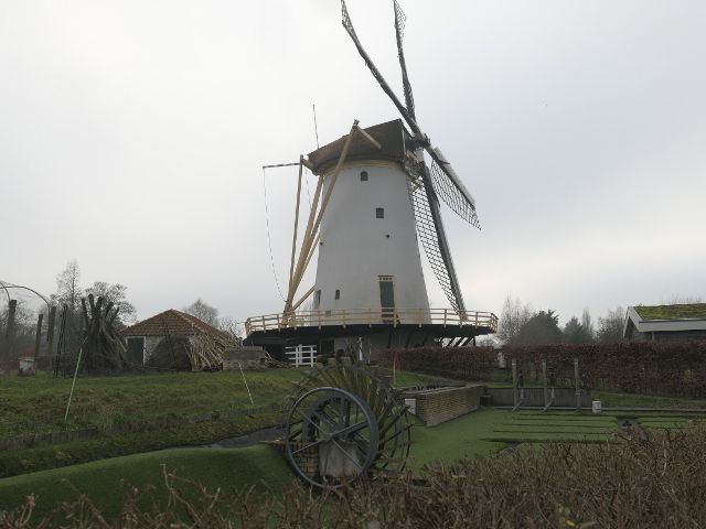 P1330707schiedam_z