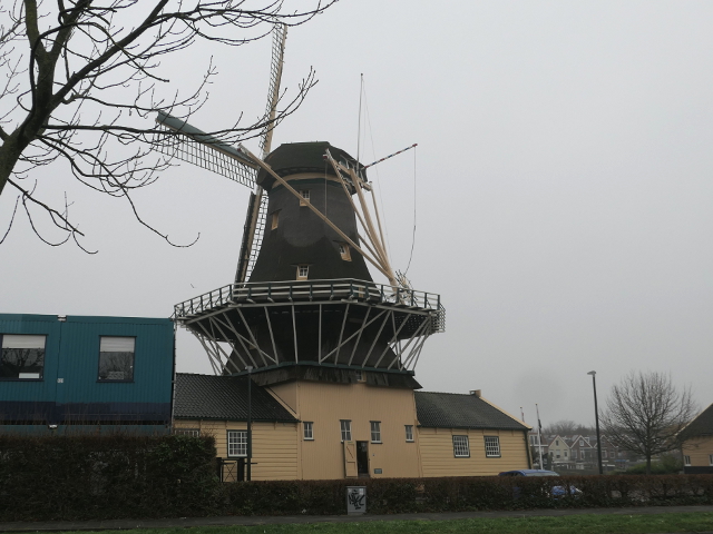 P1330721leiden_z