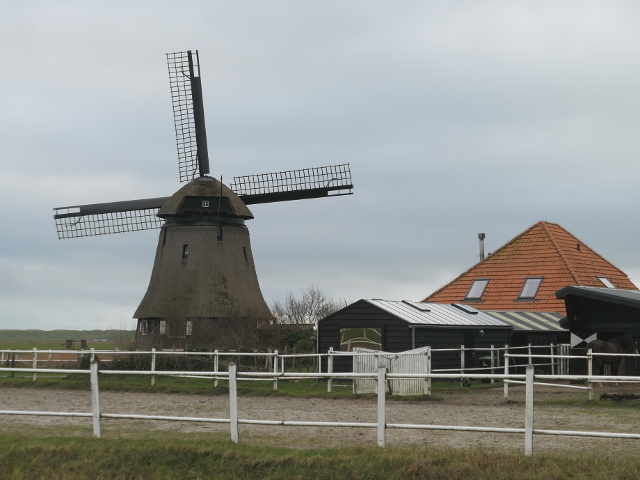 P1330784schoorl_z