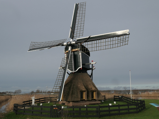 P1340017leiderdorp_z