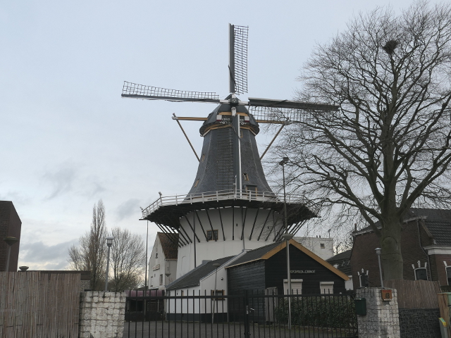 P1340032alphenadrijn_z