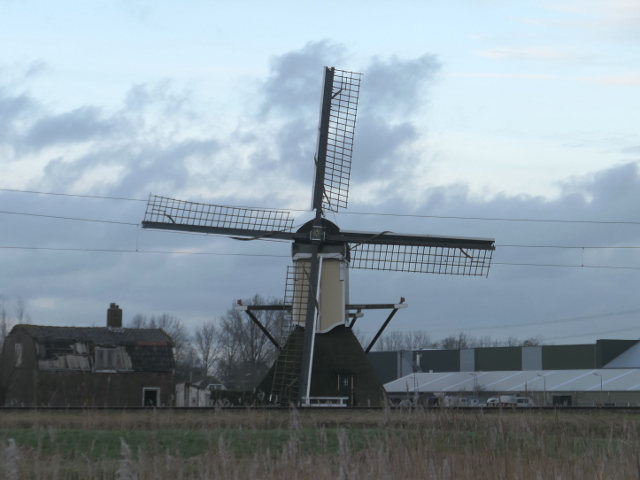 P1340036hazerswouderijndijk_z