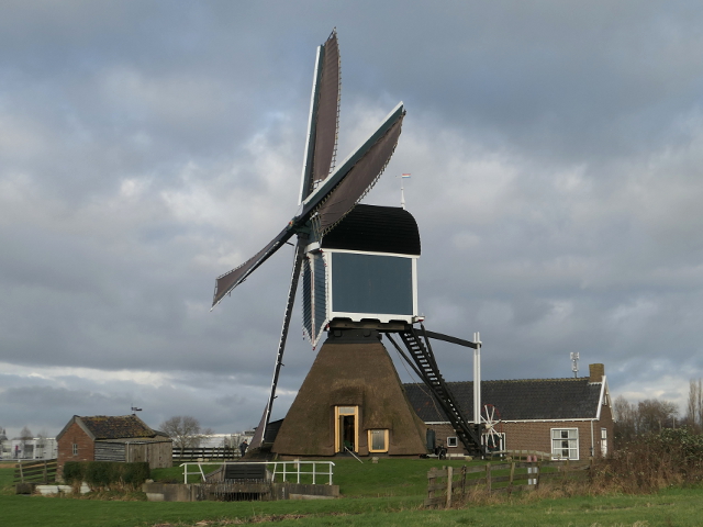 P1340050zoeterwouderijndijk_z