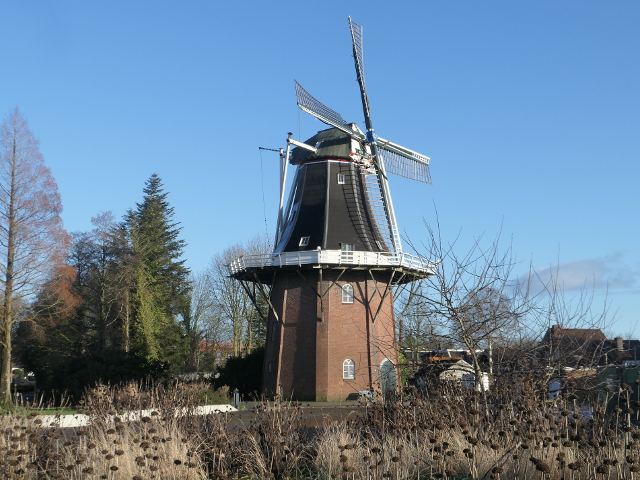 P1340081oudepekela_z