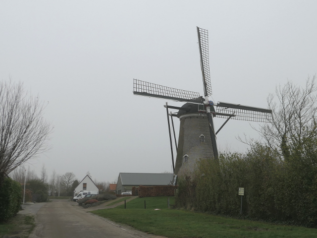 P1340210nieuwvliet_z