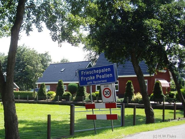 frieschepalenIMGP7759