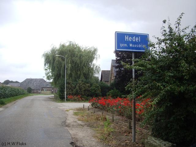 hedelIMGP8158