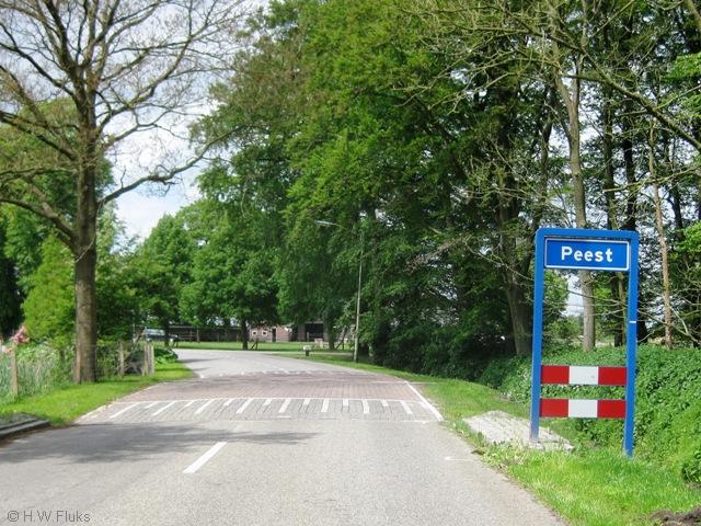peest004