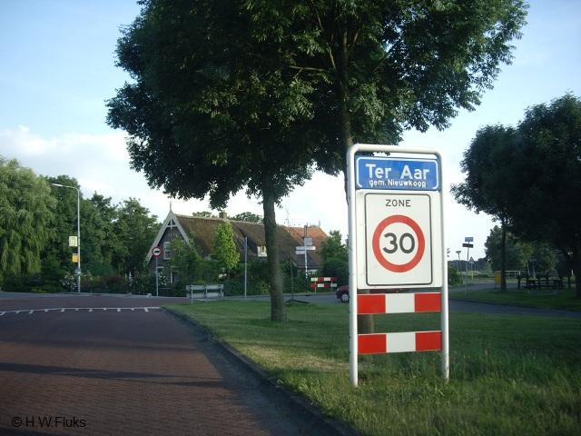teraarIMGP6339