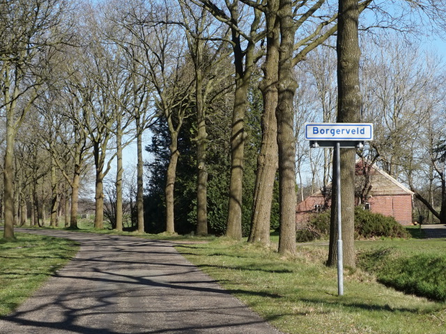 DSC08597borgerveld_w