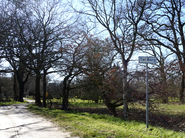 DSC08598terborg_w