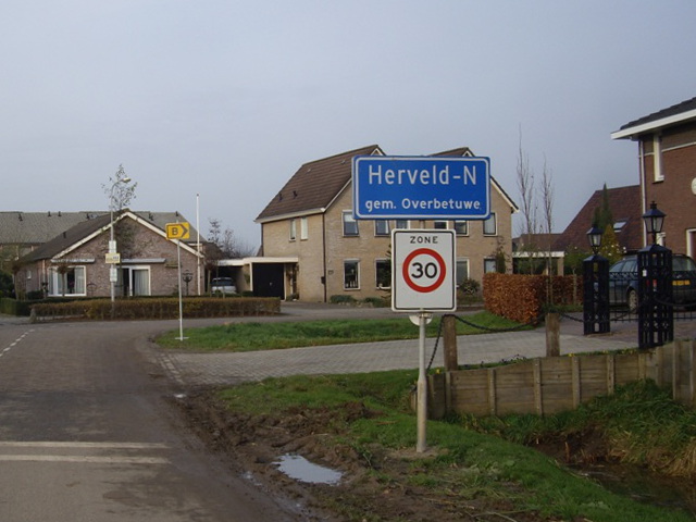 IMGP0550