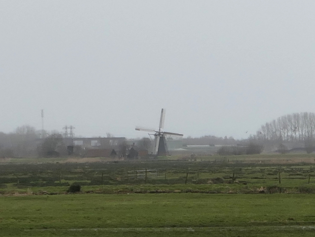 P1340263onnen_z