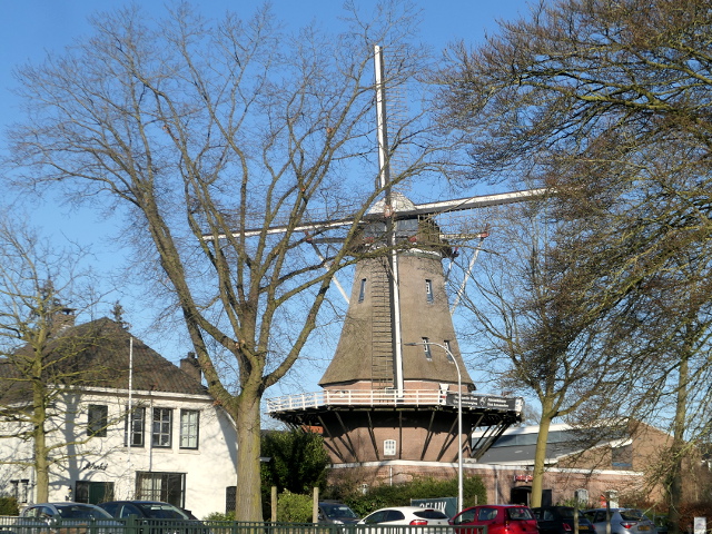 P1340353nijmegen_z