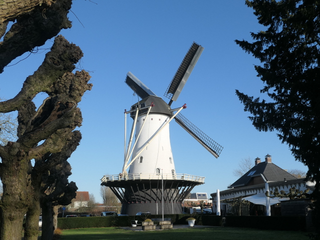 P1340355nijmegen_z