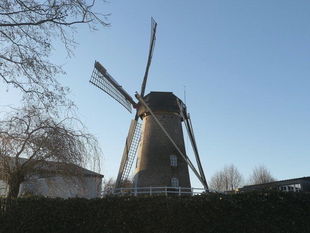 P1340368hoenzadriel_z