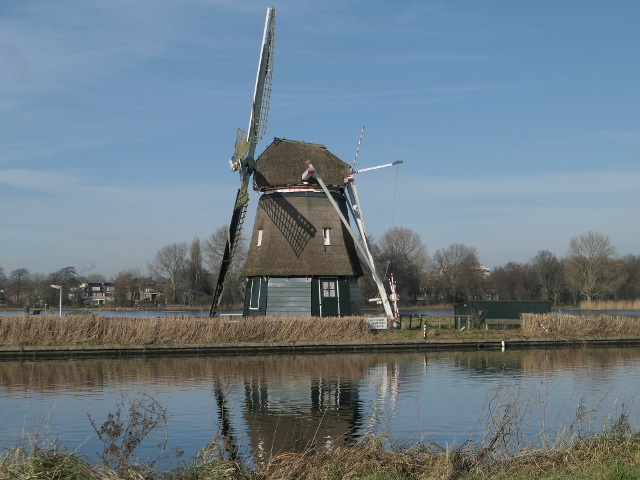 P1340382zuidschalkwijk_z