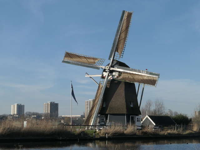 P1340385haarlem_z