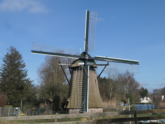 P1340437lisse_z