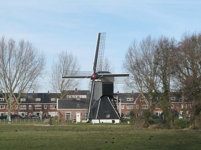 P1340440haarlem_z