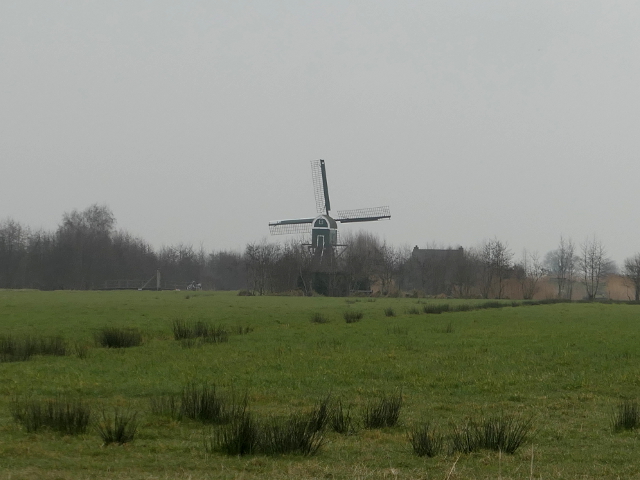 P1340522sluipwijk_z