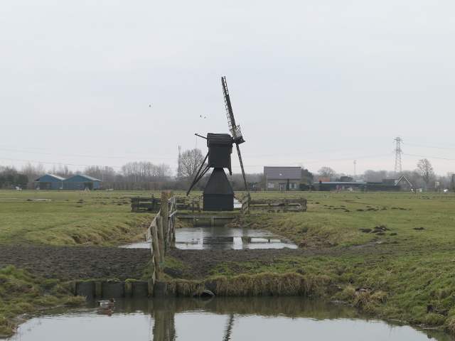 P1340557wognum_z