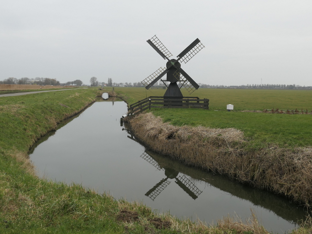 P1340562midwoud_z